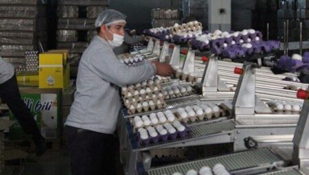 Önlenemeyen yükselişe yumurta üreticisinin açıklaması maliyet artışları ve zincir marketler oldu