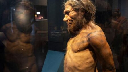 Neandertallerin sonunu şiddet mi getirdi, seks mi?