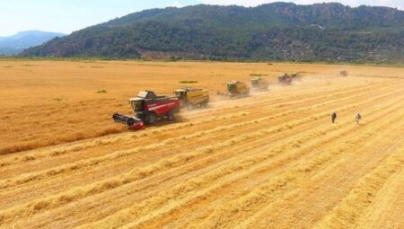Tarımsal girdi enflasyonu yıllık bazda yüzde 121.4 yükseldi