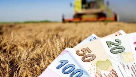 Çiftçilere tarımsal destek ödemeleri bugün yapılacak