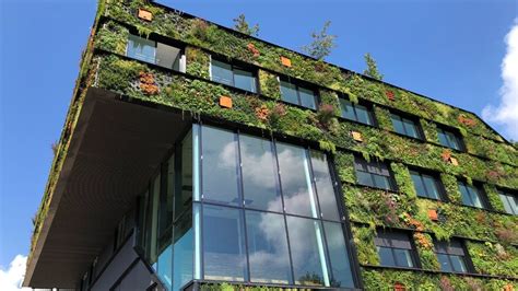 Mimarlıkta Sürdürülebilirlik ve Yeşil Binalar